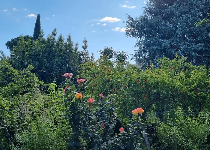 Villa El Correc
